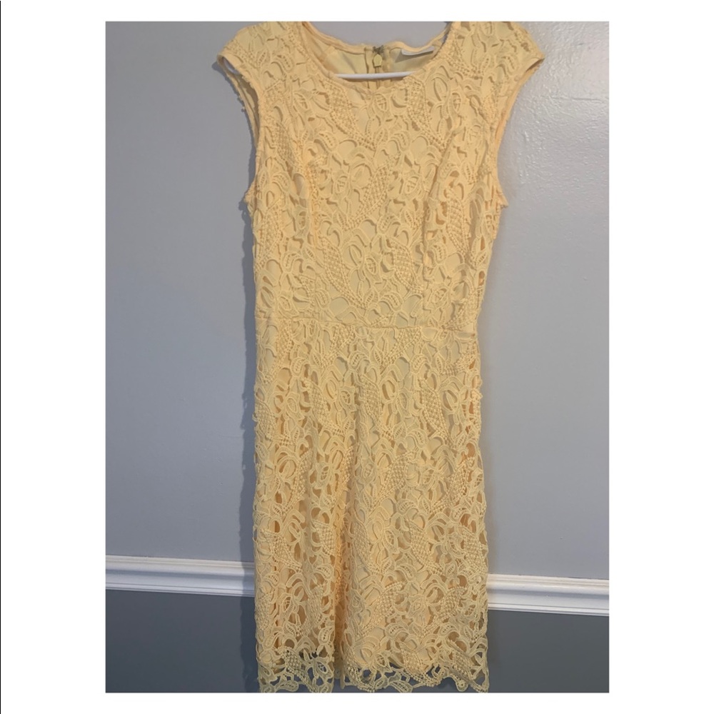 New York and company dress